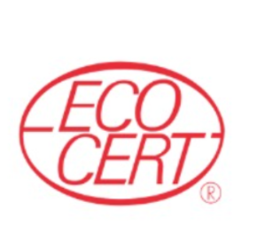 Cert logo 4